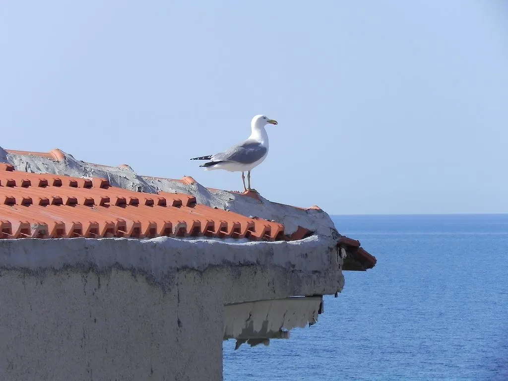 Bellos Apartments Nea Skioni